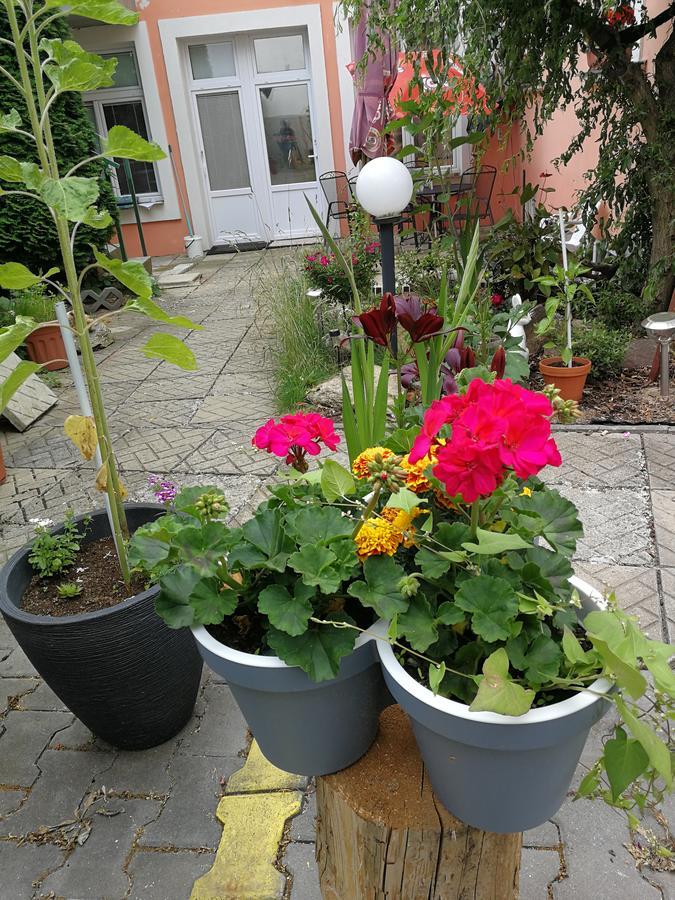 Penzion Libertas Mariánské Lázně Exterior foto